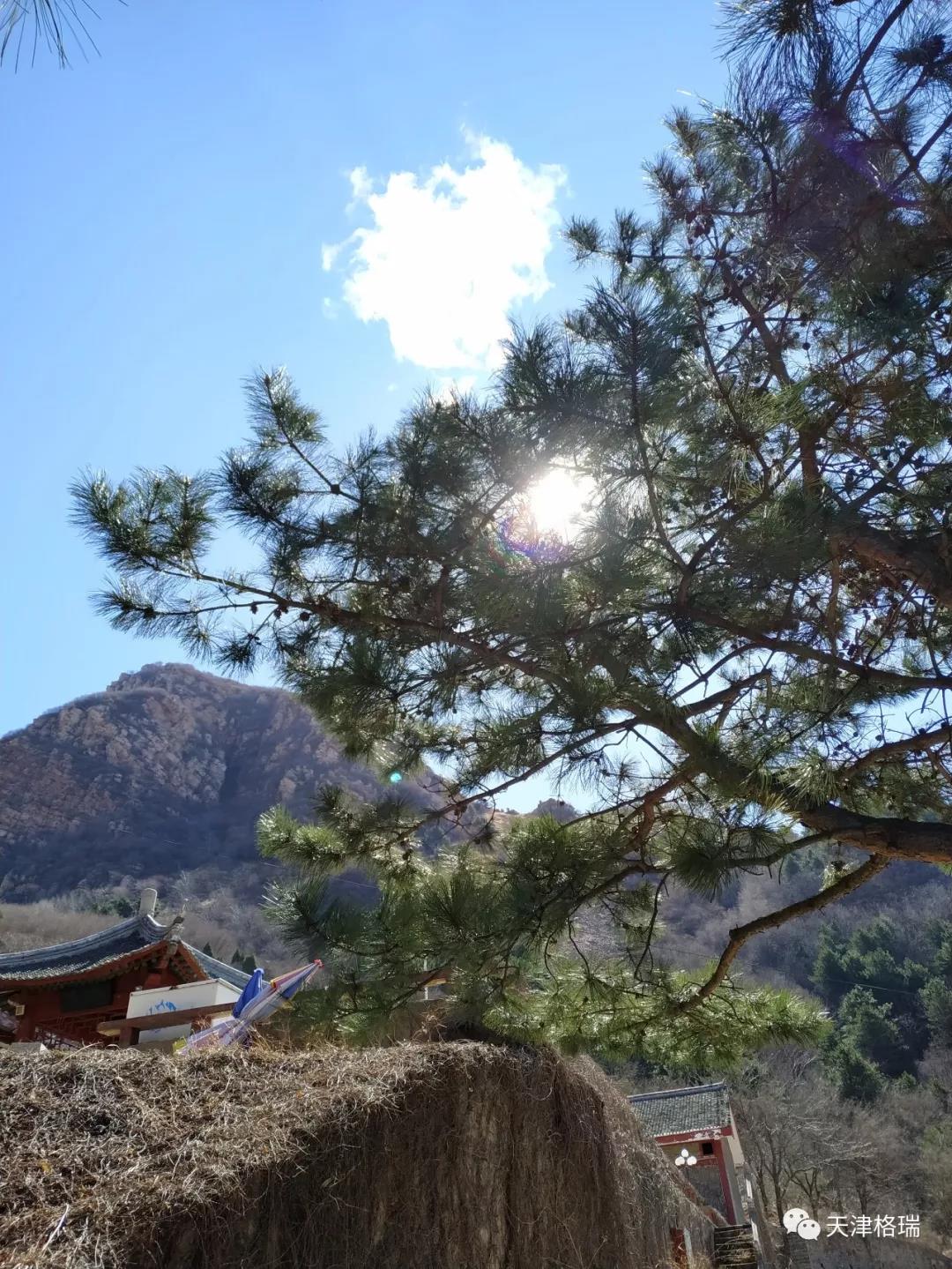 20200916160024535420.jpg 1554730762716485.jpg